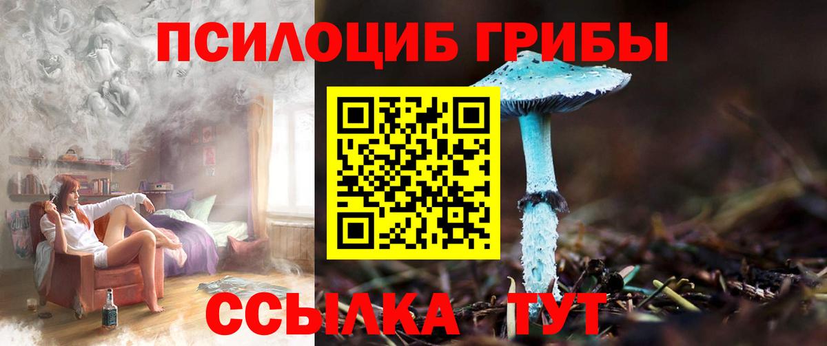 как найти закладки  Вход с VPN  Белгород  Псилоцибиновые грибы прущие грибы 